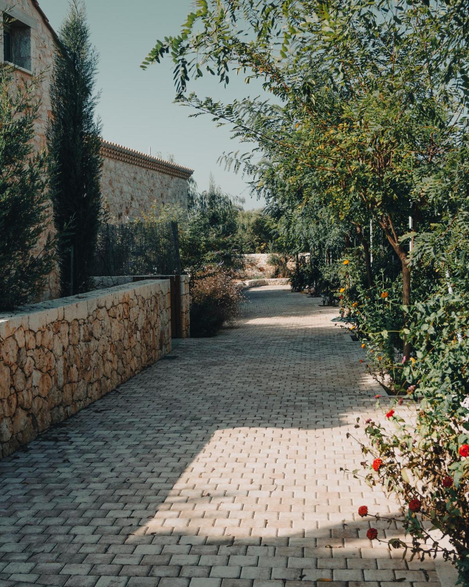 Papadria Villas - Modern Luxury Villas Near Kathisma Beach Tsoukaládhes Extérieur photo